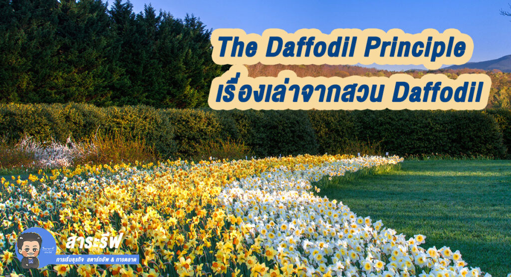 การพัฒนาตัวเอง-ให้เก่งขึ้นทุกวัน-มันดีแค่ใหน-เรื่องเล่า-Daffodil---สาระรีฟ-การตลาดบ้านๆ